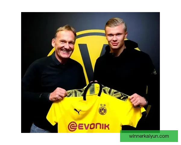 哈兰德解约金条款引发关注，揭示未来转会潜力与俱乐部的策略考量