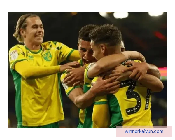 诺维奇战术调整后防守效率提升，近期表现趋于稳健